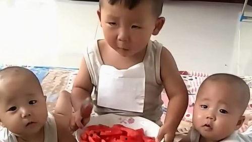 娱乐吃瓜酱哥哥和弟弟在线观看