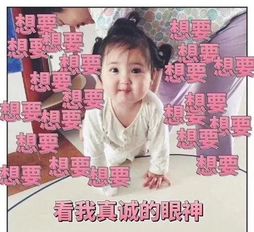 吃瓜娱乐小崽崽小说