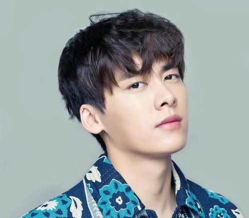 吃瓜娱乐圈李易峰