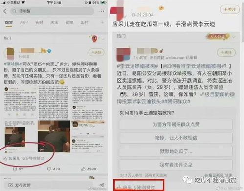 吃瓜娱乐圈文件,揭秘“吃瓜”背后的真相与内幕