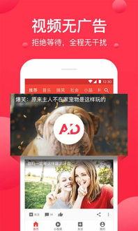 娱乐吃瓜文案视频下载