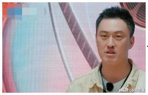 娱乐圈吃瓜被骗,揭秘明星背后的真相与陷阱